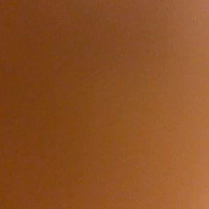 Meet your Posher, Kanesha